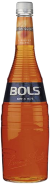 BOLS Butterscotch Schnapps Liqueur 750ml bottle with rich butterscotch color.