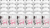 Ste. Chapelle Raspberry Rose Spritz Wine Cocktail 375 ML (24 Pack)