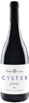 Bottle of Tierra Calma Cyster 2020 Spanish red wine – 750 ML