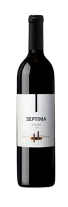 Bodega Septima Malbec Agrelo 750 ML